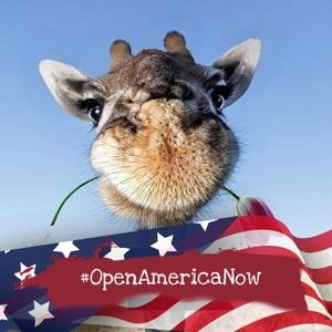 Meet your Posher, Denae